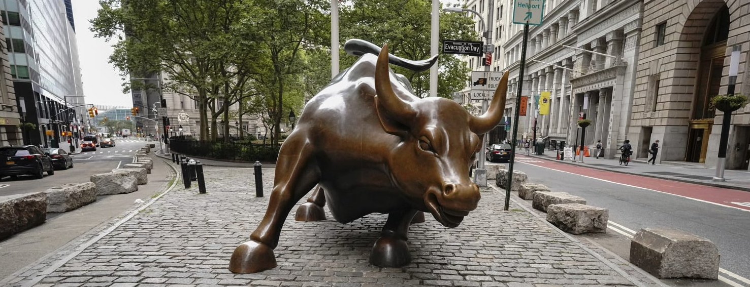 Como funciona o bull run? Como aproveitar o movimento?